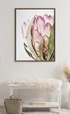 Sylvie Pink Protea Flower Framed Canvas by Amy Peterson