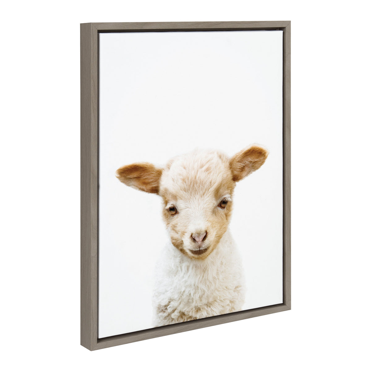 Sylvie Animal Studio Lamb Framed Canvas by Amy Peterson Art Studio
