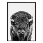 Sylvie Bison Portrait Black and White Framed Canvas by Amy Peterson Art Studio
