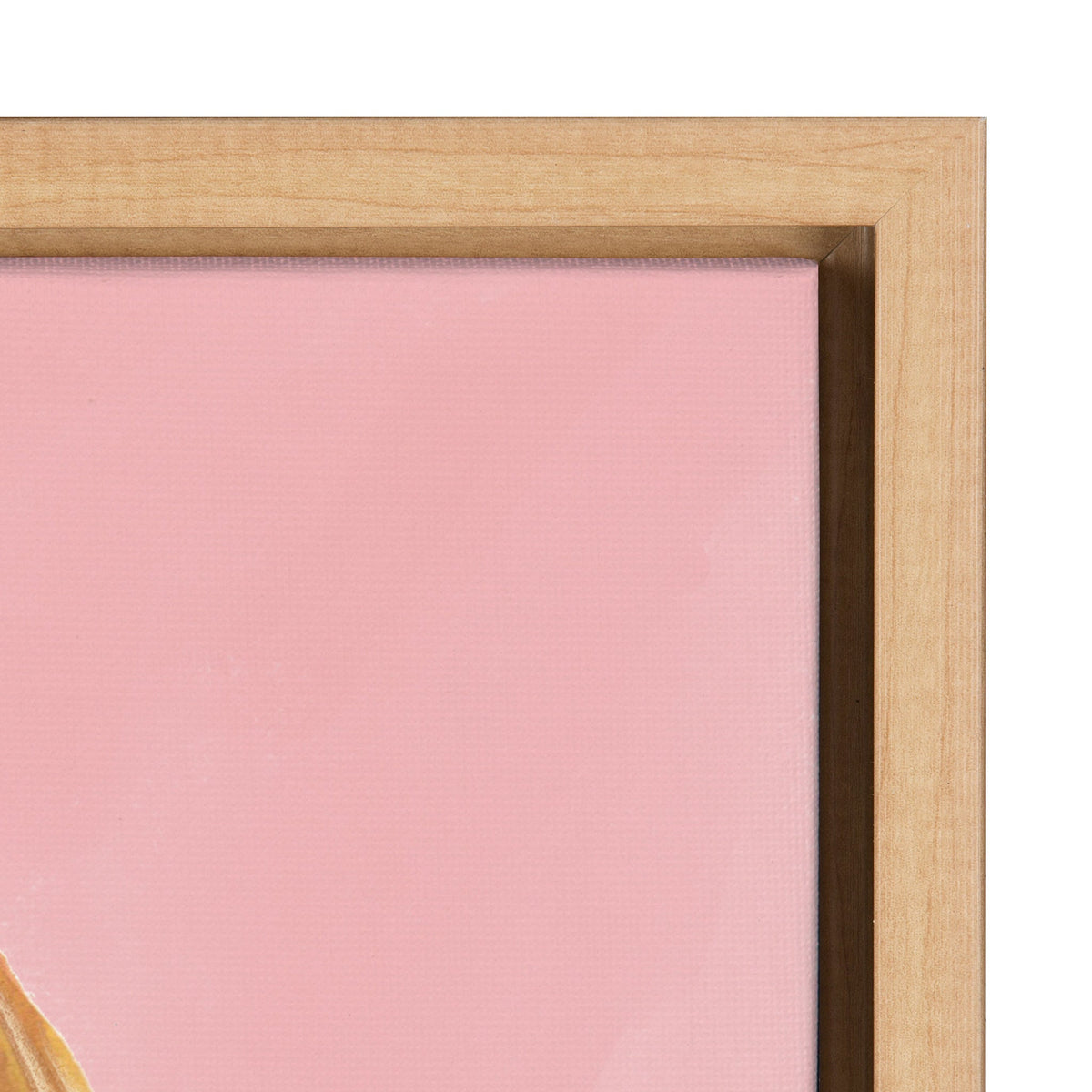 Sylvie Rose Glasses Framed Canvas by Sara Berrenson