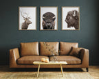 Sylvie Bison Profile Framed Canvas by Amy Peterson Art Studio
