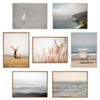 Sylvie Pelican No 1 Framed Canvas by Crystal Lynn Collins