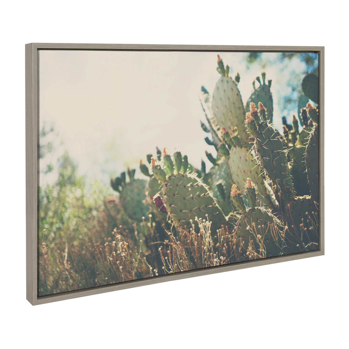 Sylvie A Desert Prickly Pear Cactus Framed Canvas by Laura Evans