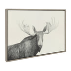 Sylvie Moose 2 crop BW Framed Canvas by Emiko and Mark Franzen of F2Images