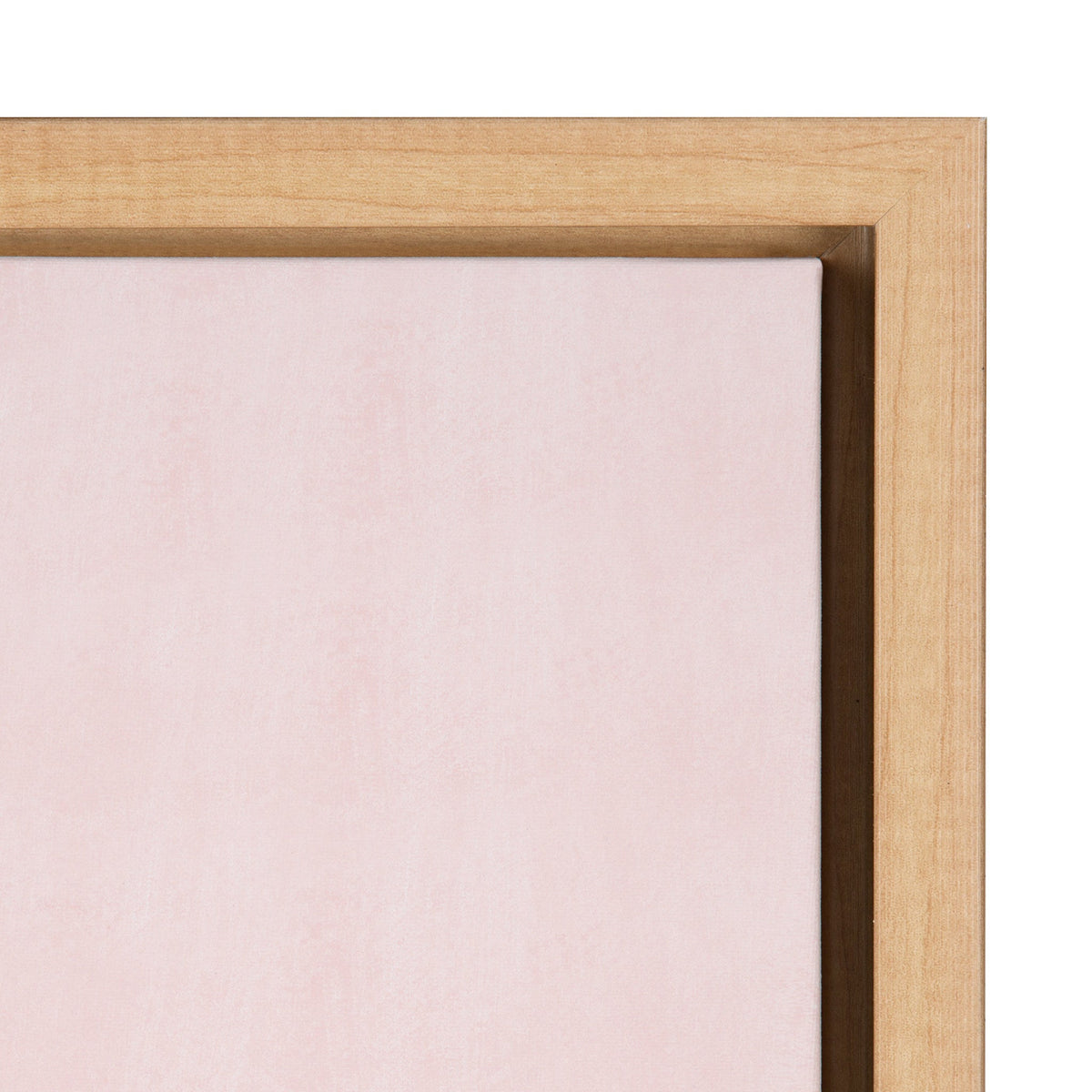 Sylvie Shade Squad Framed Canvas By Kendra Dandy