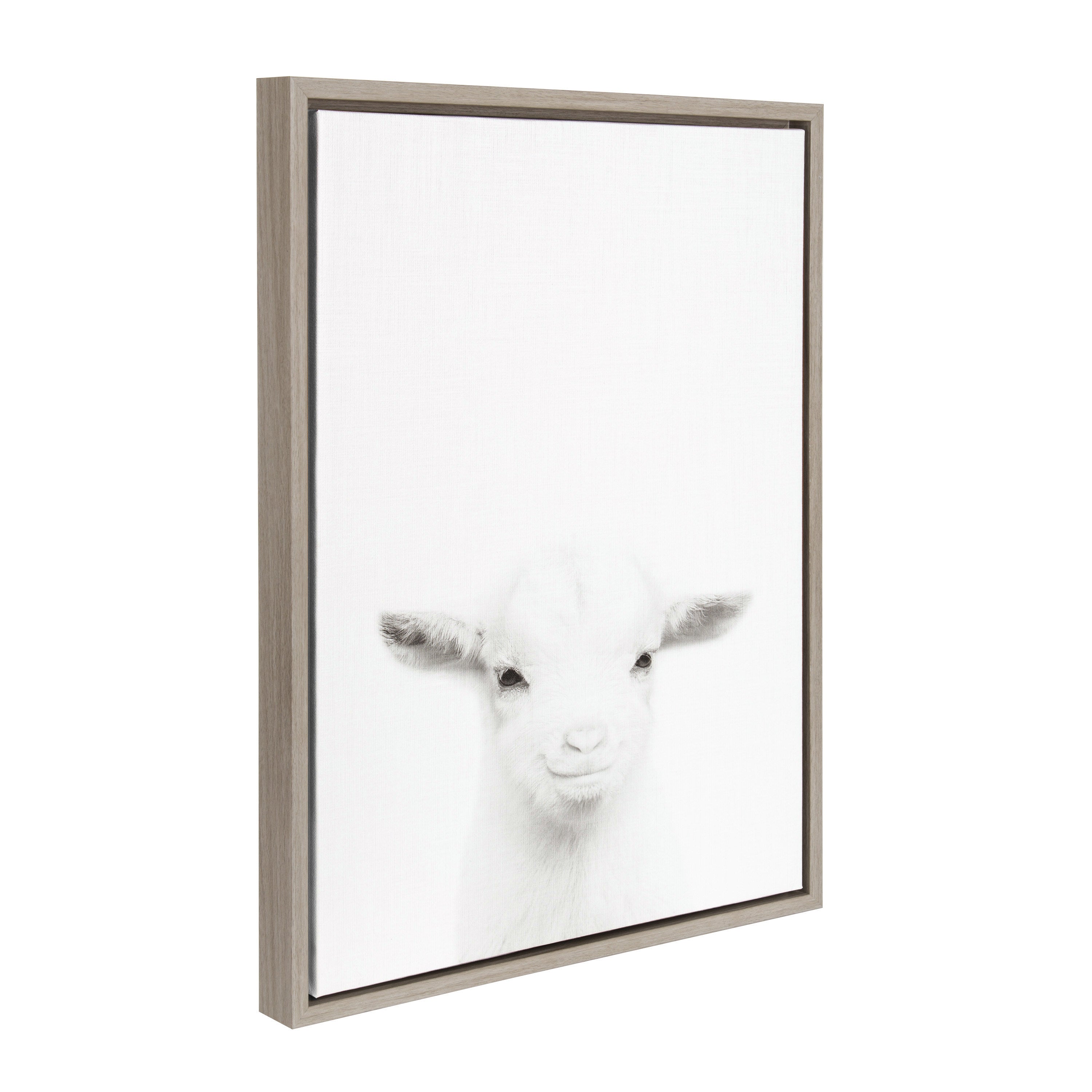 Sylvie Baby Goat Framed Canvas by Simon Te Tai