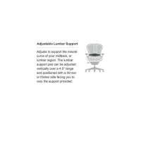 Herman Miller Classic Aeron Chair Lumbar Pad - Graphite - Size B