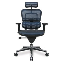 Eurotech Ergohuman High Back, Blue Mesh Executive Managers Office Chair With Headrest, Ergonomic Back Support - Adjustable Tilt Control, Seat Slider, Armrests And Height