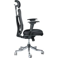 Balt Ergo Ex Executive Mesh Office Chair, Ergonomically Adjustable, 28-Inch By 24-Inch By 51-Inch, Black (34434)