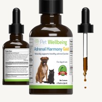 Pet Wellbeing Adrenal Harmony Gold For Dogs - Vet-Formulated - Cushings, Adrenal Support, Cortisol Balance - Natural Herbal Supplement 2 Oz (59 Ml)