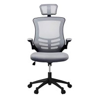Modern High Back Mesh Executive Chair With Headrest And Flip Up Arms Color: Silver Grey