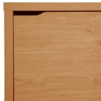 Baxton Studio Simms Modern Shoe Cabinet, Maple