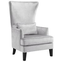 Tov Furniture The Bristol Collection Contemporary Velvet Upholstered Tall Living Room Parlor Chair With Nailhead Trim, Silver Croc