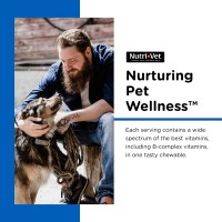 Nutri-Vet Multi-Vite Chewables For Adult Dogs - Daily Vitamin And Mineral Support To Support Balanced Diet - 180 Count