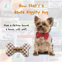 Haute Diggity Dog Fashion Hound Collection | Unique Squeaky Plush Dog Toys - Passion For Fashion (Accessories)!