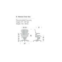 Herman Miller Classic Aeron Chair-Aluminum, Size B