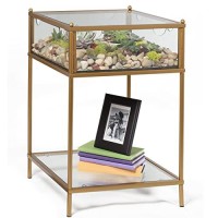 Square Terrarium Display End Table With Reinforced Glass In Gold Iron- 18 L X 18 W X 27 H- Great Indoor Decor For Home Or Office- Diy Garden For Fern Moss Succulents- Holiday Wedding Gift