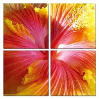 Homeroots Decor Hibiscus 4-Panel Photo On Canvas