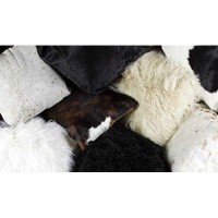 Homeroots Icelandic Sheepskin, Microsuede 24 X 36 X 1.5 X 2 Spotted Sheepskin Single Long-Haired - Area Rug