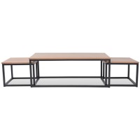 Vidaxl Coffee Table Set 3 Pieces Ash