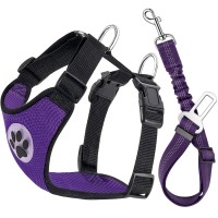 Lukovee Dog Safety Vest Harness With Seatbelt, Dog Car Harness Seat Belt Adjustable Pet Harnesses Double Breathable Mesh Fabric With Car Vehicle Connector Strap For Dog (Xx-Small, Purple)