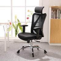 Xuer Ergonomic Office Chair, Mesh Computer Desk Chair With Adjustable Sponge Lumbar Support, Thick Cushion, Pu Armrest And Headrest, High Back Swivel Home Office Task Chair For Work (Black)A