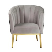 Acme Colla Velvet Upholstered Accent Chair In Gray And Gold