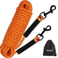 Taglory Dog Tie Out, Long Rope Leash For Dog Training, 30 Ft Heavy Duty Lead With Reflective Stitching For Large Medium Small Dogs Walking, Camping, Or Backyard, Orange