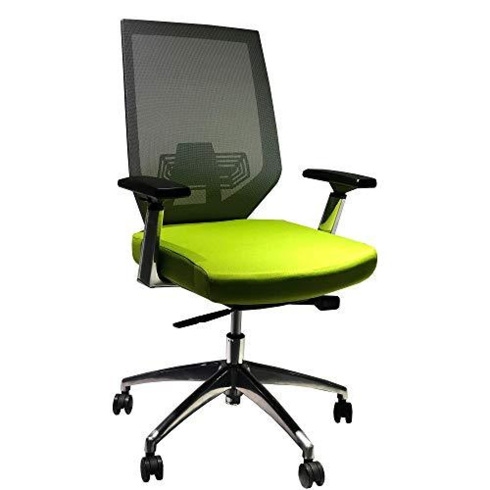 The Urban Port Adjustable Mesh Back Ergonomic Office Swivel Chair With Padded Seat And Casters, Green And Gray