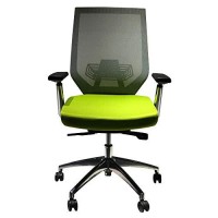 The Urban Port Adjustable Mesh Back Ergonomic Office Swivel Chair With Padded Seat And Casters, Green And Gray