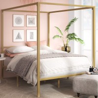 Zinus Patricia Gold Metal Canopy Platform Bed Frame Mattress Foundation With Steel Slat Support No Box Spring Needed Easy Assembly, Queen