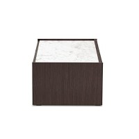 Baxton Studio Walker Dark Brown And Gold Finished Wood Coffee Table