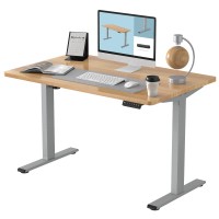 Flexispot En1 Electric Stand Up Desk Workstation 48 X 30 Inches Whole-Piece Desktop Ergonomic Memory Controller Height Adjustable Standing Desk (Gray Frame + 48 Maple Top, 2 Packages)