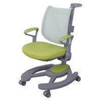 Apexdesk Mk Series Ergonomic Comfortable Mesh Height Adjustable Childrenas Chair - Green Mesh