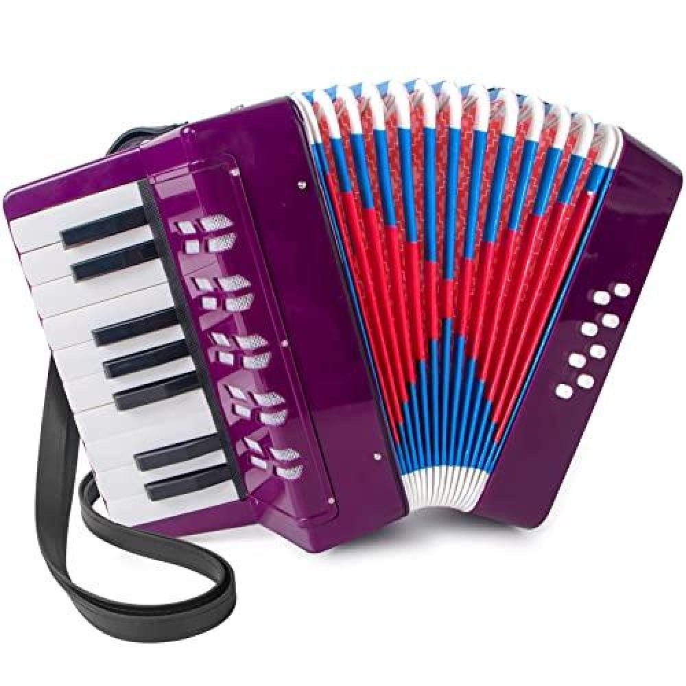 Accordion, 17 Keys Piano Accordion For Kids 8 Bass With Straps For Beginners Student Educational Musical Instrument (Purple)