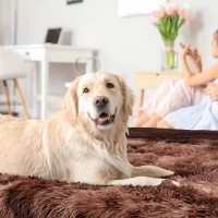 Petami Waterproof Dog Blanket For Bed Xl Dog Pet Blanket Couch Cover Protector, Sherpa Fleece Fuzzy Leakproof Blanket For Sofa Furniture Queen Bed Protection Reversible Soft Fluffy 90X90 Tie-Dye Brown