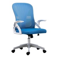 Wangxldd Ergonomic Home Office Chair, Adjustable Arms Computer Desk Chair, High Back Breathable Mesh Executive Chair