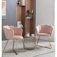 Living Room Chairs Set Of 2 Velvet Vanity Accent Chair For Bedrooms Makeup Room Dining Room And Office Modern Comfy Armchair No Wheel With Golden Metal Legs (Pink)