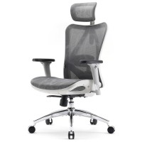 Sihoo M57 Ergonomic Office Chair With 3 Way Armrests Lumbar Support And Adjustable Headrest High Back Tilt Function Light Grey