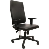 Cavilusa | Slim Office Chair - Ergonomic High-Back Desk Chair, Bonded Leather Computer Chair - Lumbar Support, Adjustable Chair Height, Seat Depth & Arms