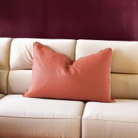 Indoor Cushions - Superior Quality at Affordable Prices - Add a Final Flourish to Any Room - Mix & Match Colors & Patterns for a Personalized Ambiance