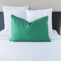 Indoor Cushions: Superior Quality at Reasonable Prices - Mix & Match for a Unique and Personalized Space - Feather Insert - 100% Linen - 60x40cm