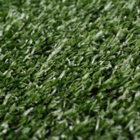 vidaXL Artificial Grass 0.3