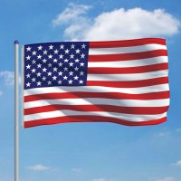 vidaXL US Flag and Pole Aluminum 19.7'