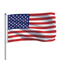 vidaXL US Flag and Pole Aluminum 19.7'