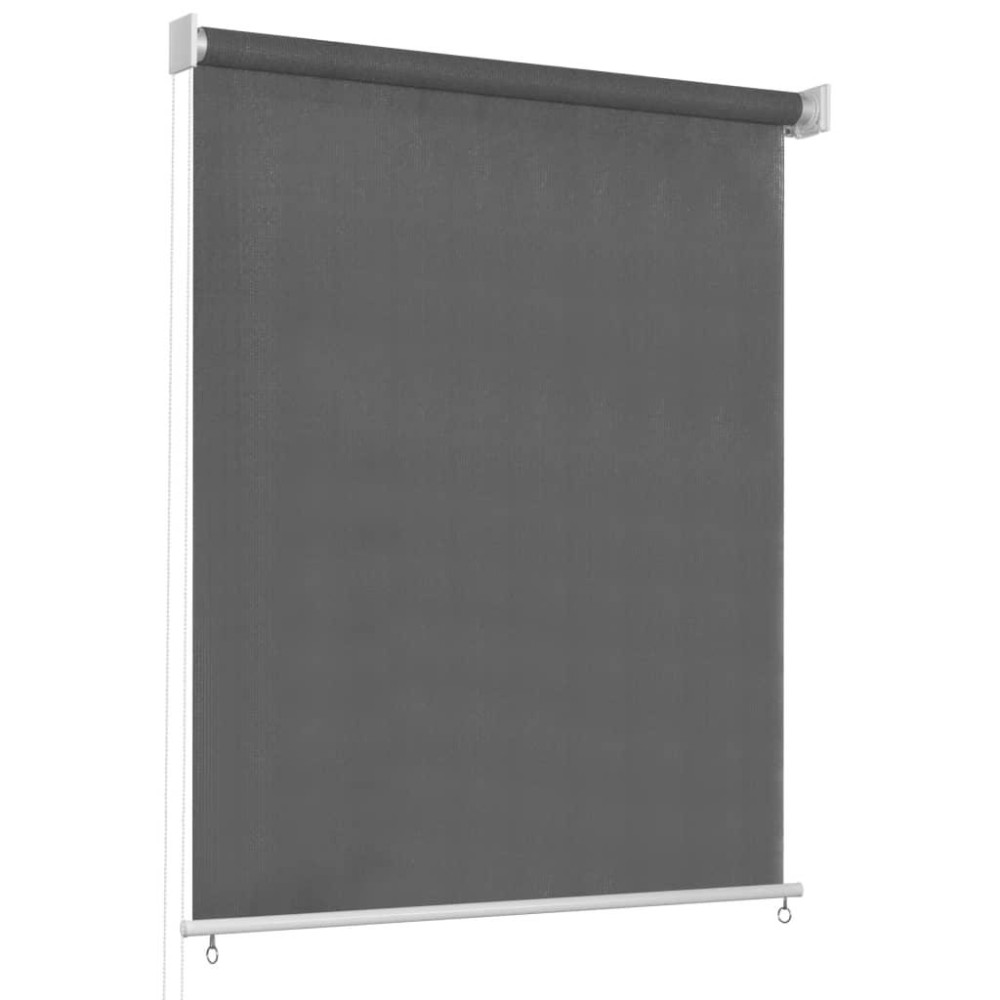 vidaXL Outdoor Roller Blind 23.6