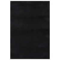 Vidaxl Washable Rug Soft Shaggy Black 63X90.6 Anti Slip