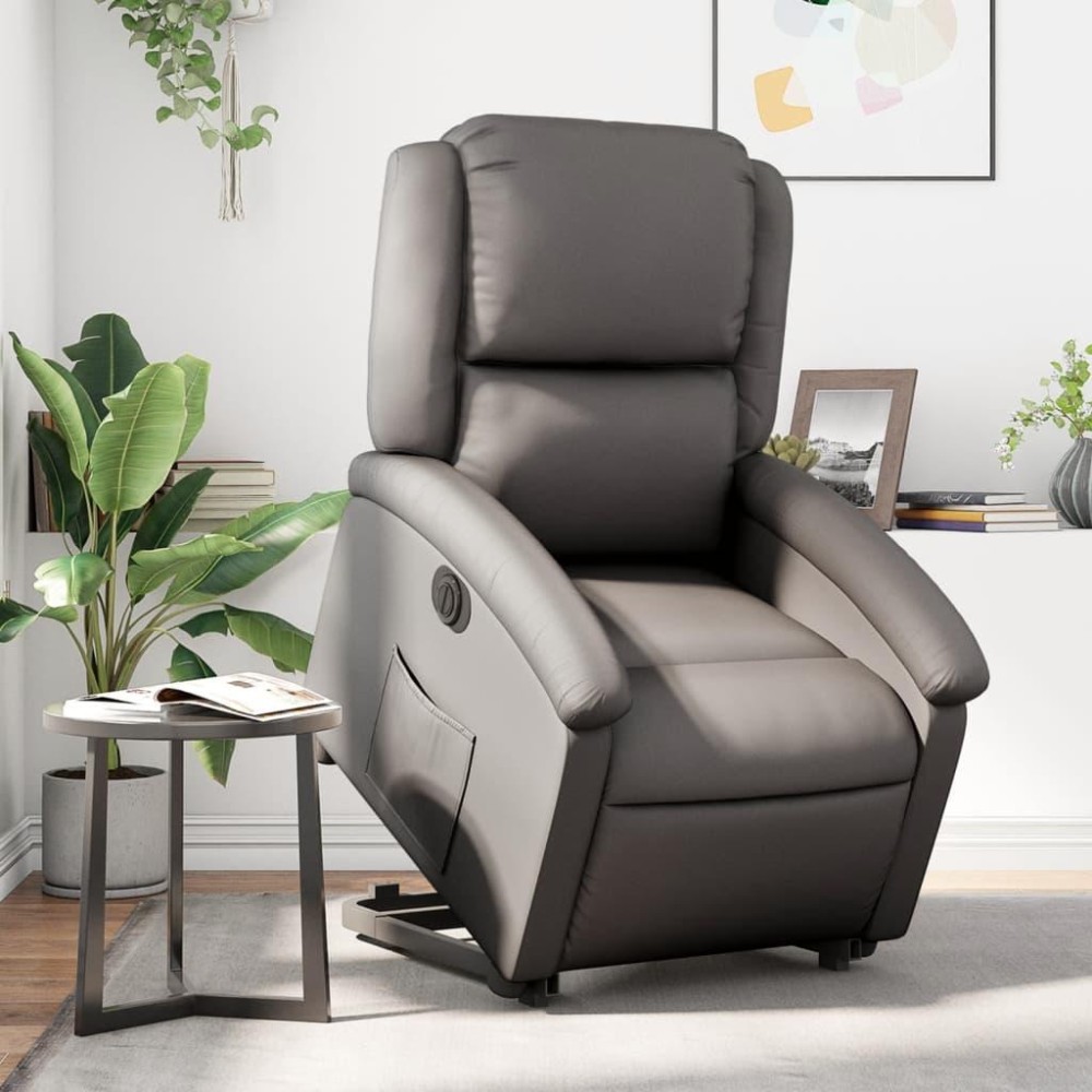 Vidaxl Electric Stand Up Recliner Chair Gray Real Leather