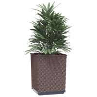 vidaXL Planters 2 pcs Brown 11.8