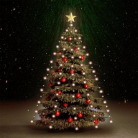 Vidaxl Christmas Tree Net Lights With 180 Leds 70.9